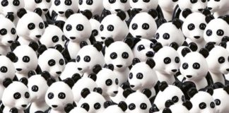 Пройдите тест и узнайте свою способность к концентрированию внимания