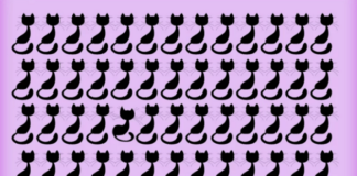 Пройдите тест и узнайте, насколько развита ваша внимательность и логика