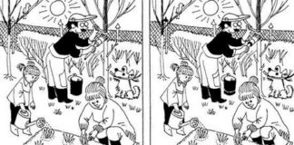 Тест на внимательность: найдите 15 отличий за короткий промежуток времени