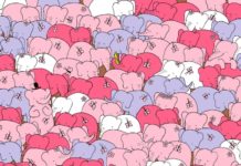 Если вы достаточно внимательны, тогда отыщите сердечко среди слонов