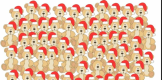 Узнайте, как хорошо вы умеете концентрироваться на поставленной задаче