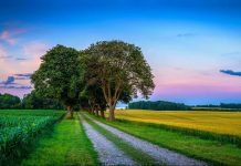 Тест: выберите пейзаж, а мы назовём ваши скрытые таланты