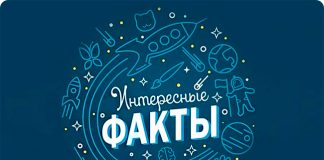 Тест: определите, какие факты являются правдивыми, а какие — нет