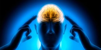 Тест для эрудитов: сможете ли вы ответить хотя бы на 10 вопросов