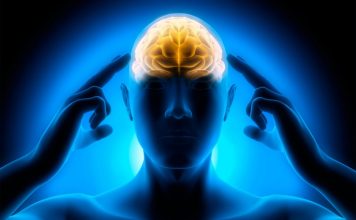 Тест для эрудитов: сможете ли вы ответить хотя бы на 10 вопросов