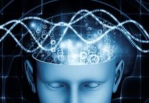 Тест: спорим, мы угадаем ваши мысли, задав всего 4 вопроса