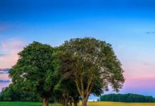 Тест: выберите пейзаж, а мы назовём ваши таланты