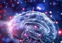 Тест: сколько лет вашему мозгу на самом деле