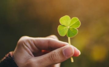 Тест: везучий ли вы человек