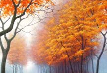 Тест: выберите пейзаж и узнайте свой тип личности