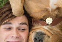 Тест: сможете ли вы узнать фильм по кадру с собакой