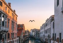 Тест: проверьте уровень своего интеллекта, ответив на 7 вопросов из разных областей знаний