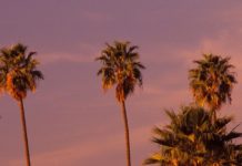 Тест: только истинные поклонники западного кинематографа узнают популярных актёров в гриме