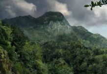 Тест: проверьте, сможете ли вы выжить в дикой природе