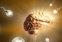 Психологический тест определит, насколько развита ваша интуиция