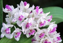 Тест: дайте верный ответ на все 7 вопросов и докажите высокий уровень своего интеллекта