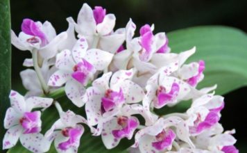 Тест: дайте верный ответ на все 7 вопросов и докажите высокий уровень своего интеллекта