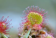 Тест: сможете ли вы правильно ответить на все 7 вопросов из разных областей знаний