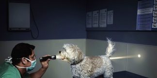 Тест: проверьте, действительно ли у вас есть чувство юмора