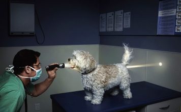 Тест: проверьте, действительно ли у вас есть чувство юмора