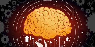 Тест для интеллектуалов на знания из различных областей