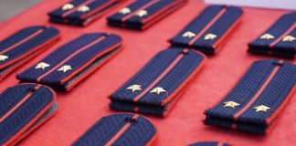 Тест: сможете ли вы угадать звание по погонам