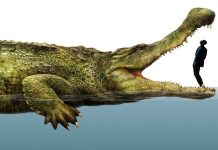 Тест: какие животные-гиганты массивнее своих собратьев-тяжеловесов