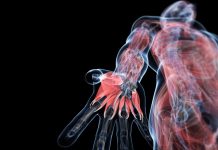 Интересный тест для любознательных: знаете ли вы анатомию человека