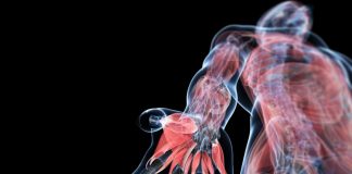 Интересный тест для любознательных: знаете ли вы анатомию человека