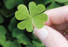 Тест: насколько вы везучий человек