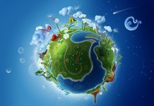 Тест: угадайте верные факты из нашего мира