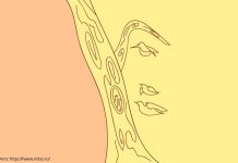 Тест: деталь, которую вы увидели первой, расскажет о ваших тайных желаниях