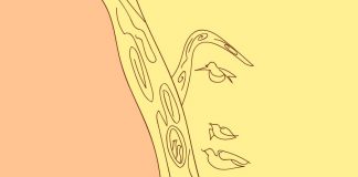 Тест: деталь, которую вы увидели первой, расскажет о ваших тайных желаниях