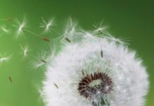 Тест: узнайте, на каком уровне находится ваш интеллект, ответив на 7 вопросов