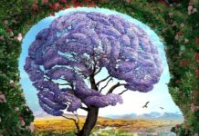 Тест: первое, что вы увидите на картинке, раскроет потенциал вашей личности