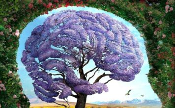 Тест: первое, что вы увидите на картинке, раскроет потенциал вашей личности