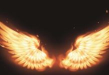 Тест: выберите крыло и получите свой полный психологический портрет