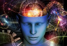 Тест: спорим, мы угадаем ваши мысли, задав всего 4 вопроса