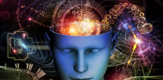 Тест: спорим, мы угадаем ваши мысли, задав всего 4 вопроса