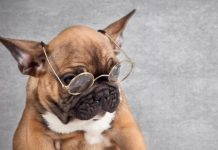 Тест на знания: попробуйте дать верный ответ на каждый из 7 вопросов