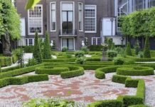 Тест-анаграмма: загаданное слово указывает на совокупность работ, связанных с созданием и использованием растительных насаждений