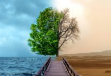 Тест-анаграмма: загаданное слово указывает на высшую цель в жизни каждого человека