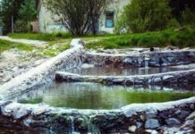 Тест-анаграмма: загаданное словосочетание считается залогом силы, здоровья и долголетия