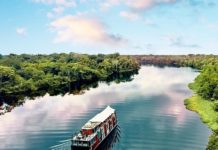 Тест-анаграмма: загаданное слово обозначает самую большую реку в мире