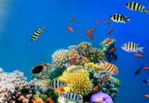 Тест-анаграмма: резкая потеря загаданного слова в результате изменения климата нанесет серьезный ущерб благосостоянию людей к 2030 году