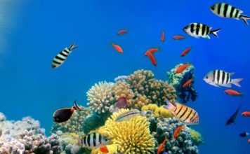 Тест-анаграмма: резкая потеря загаданного слова в результате изменения климата нанесет серьезный ущерб благосостоянию людей к 2030 году