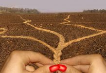 Тест-анаграмма: загаданное слово указывает на предопределенность событий и обстоятельств в жизни человека, страны, планеты