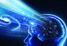 Тест-анаграмма: загаданное слово омолаживает мозг на 10 лет