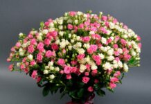 Доставка цветов в Ригу!