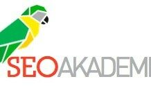 Курсы по продвижению сайтов от Sео-AKADEMIYA: стоит ли тратить деньги?